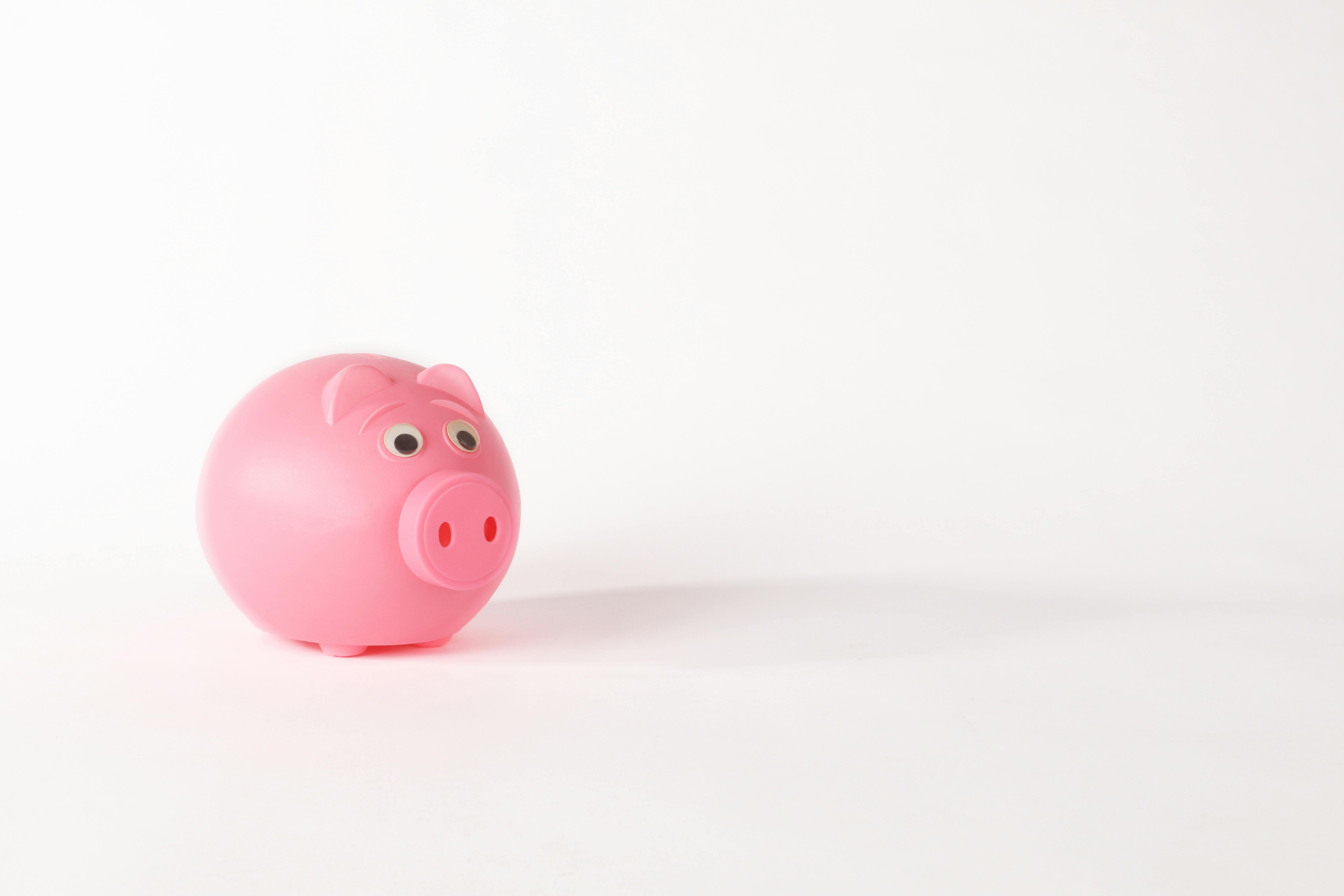 Pink piggy bank on a plain white background